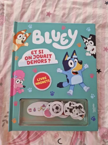Livre Bluey magnet et si on jouait dehors