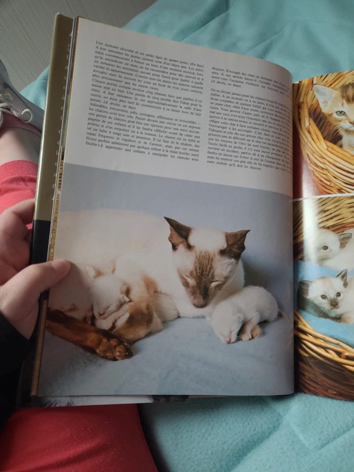 Livre la passion des chats - photo numéro 4