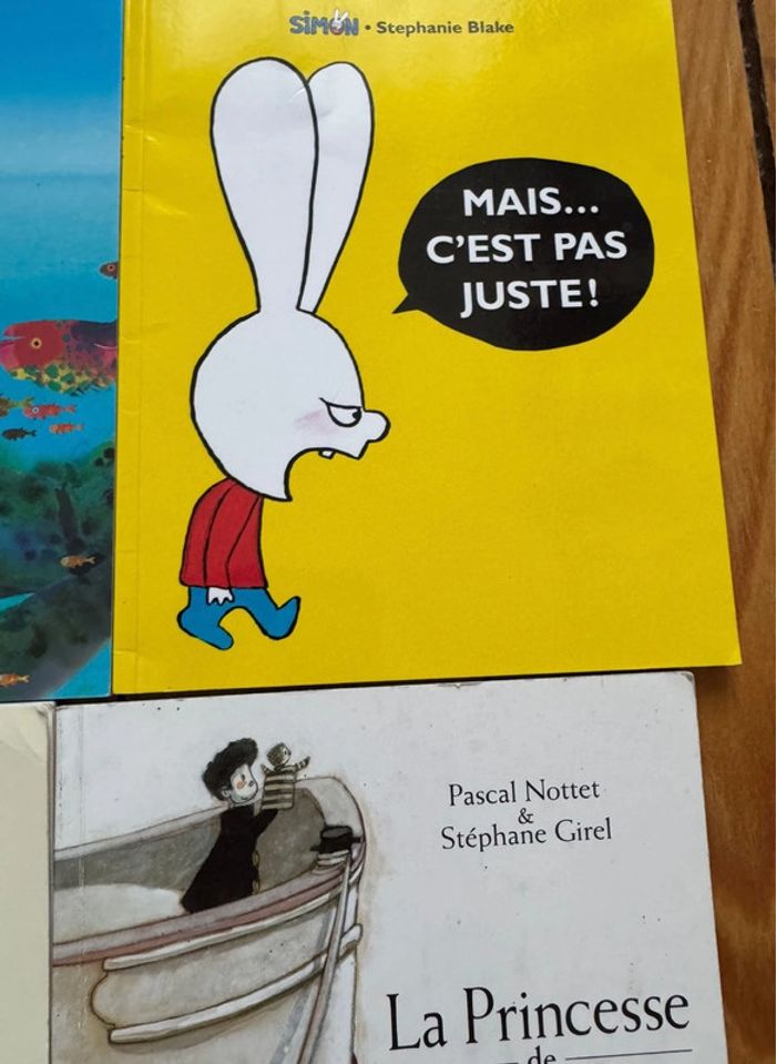 Lot livres école des loisirs - photo numéro 5
