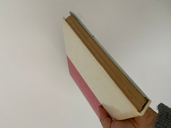 livre disney le monde enchanté histoires du nouveau monde - photo numéro 5