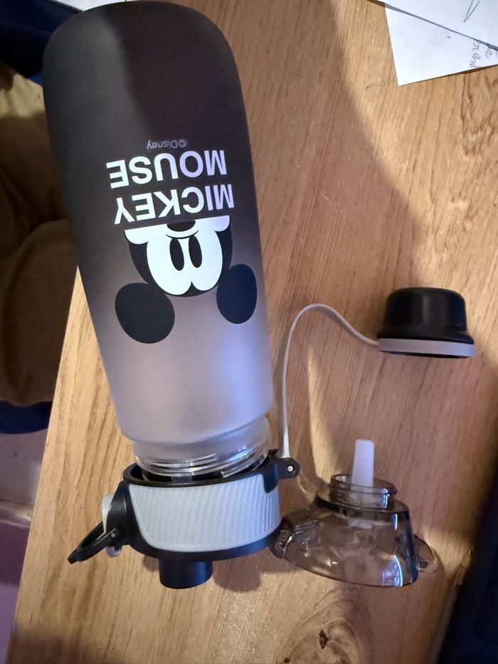 Gourde avec paille Disney Mickey and friends