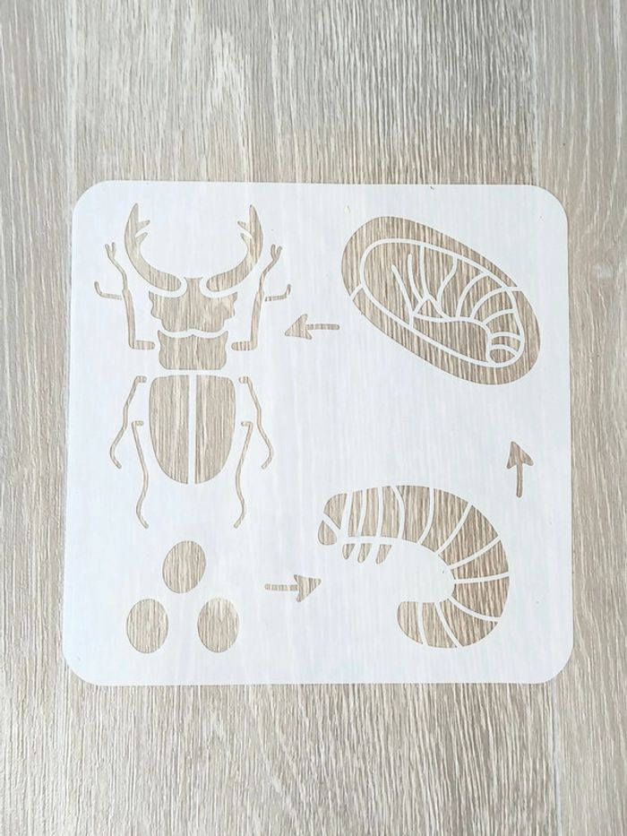 Pochoir du cycle de vie du lucarne cerf-volant