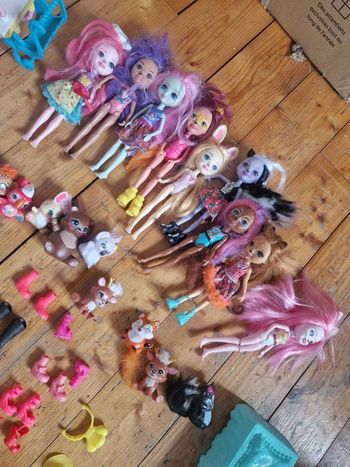 Lot enchantimals