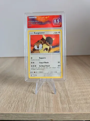 Carte gradée SFG Kangourex 8.5