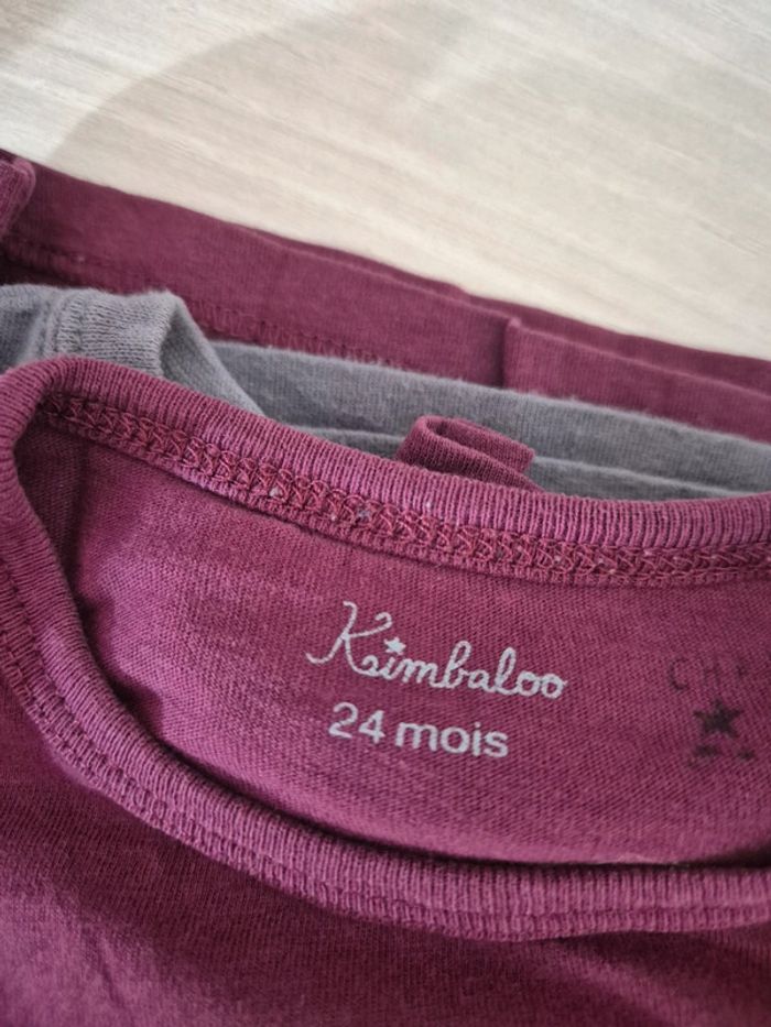 Lot t shirt manches longues 24 mois - photo numéro 5