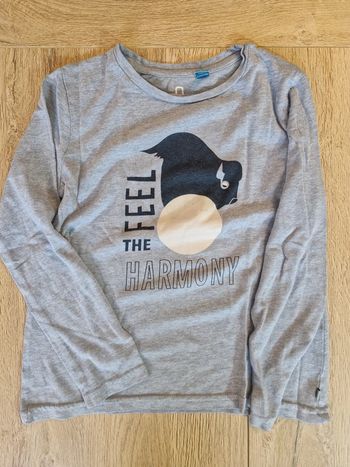 Tee-shirt Okaïdi bison mamouth 6 ans