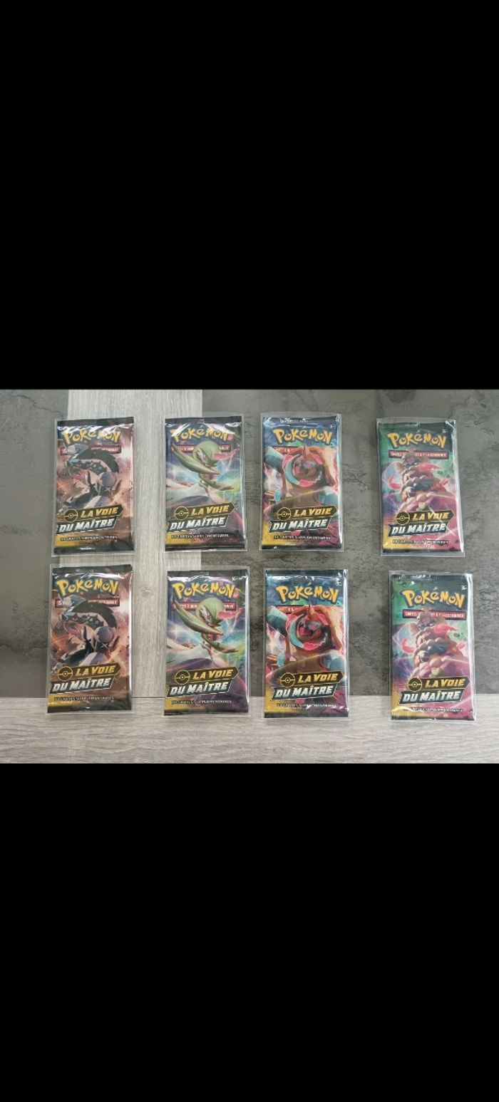 Artset Booster Pokemon La Voie du maître