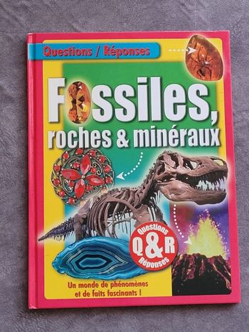Questions/Réponses Fossiles, roches et minéraux Par LLC