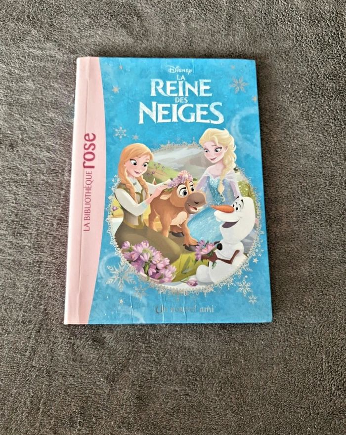 Livre La Reine des Neiges