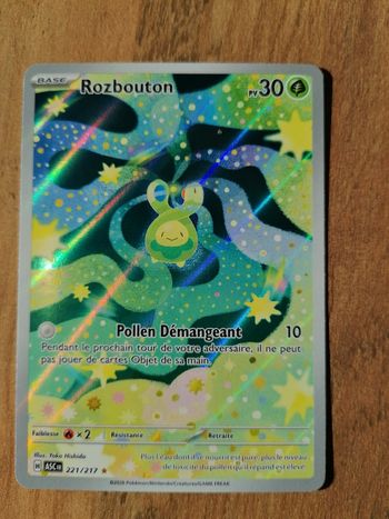 Rozbouton 221/217