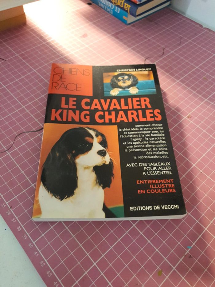 Le cavalier King Charles