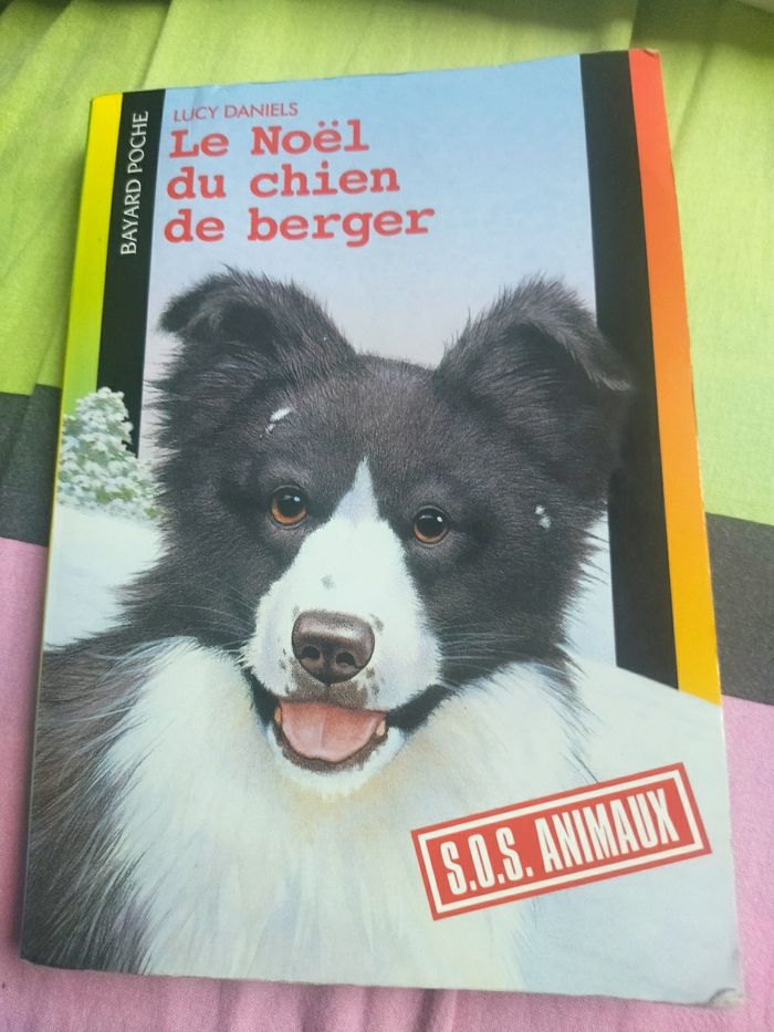 Le noël du chien de berger