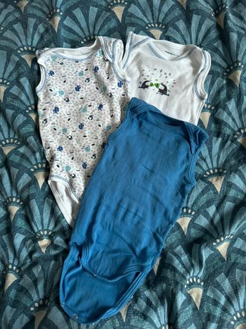 Lot de 3 bodies Gemo