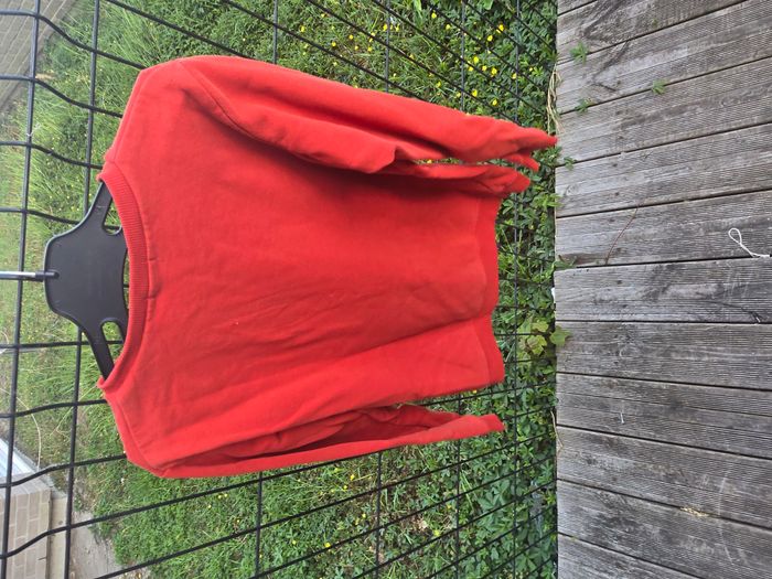 sweat shirt in extenso taille 14 ans - photo numéro 3
