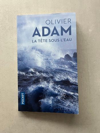 Livre « La tête sous l’eau » de Olivier Adam