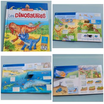 Livres animé à volets Les dinosaures, Les P'tits savants (24)