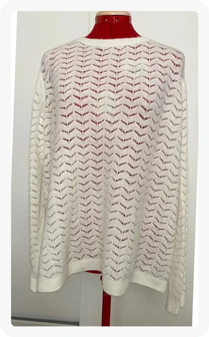 Pull tout doux ajouré crème dos boutonné InExtenso - photo numéro 2