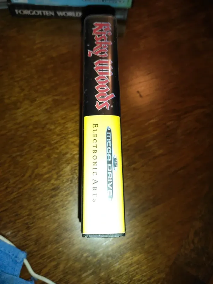 Risky woods Sega Megadrive - photo numéro 3