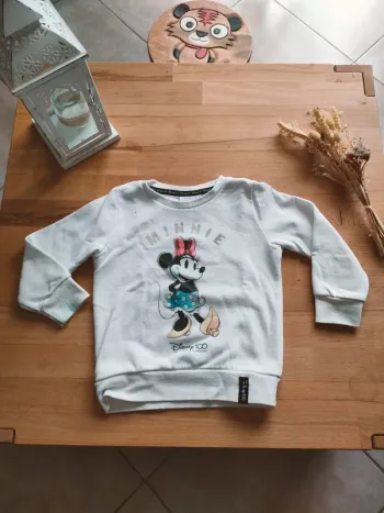 Sweat Disney