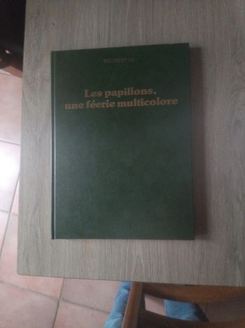 Les papillons Une feerie multicolore