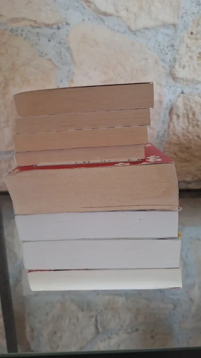 Lot 8 livres d'Aurelie Valognes - photo numéro 3
