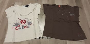 Lot tee-shirts manches courtes fille