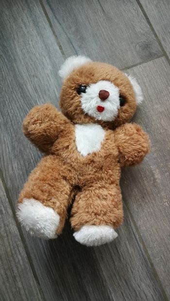 Peluche ancienne ours beige