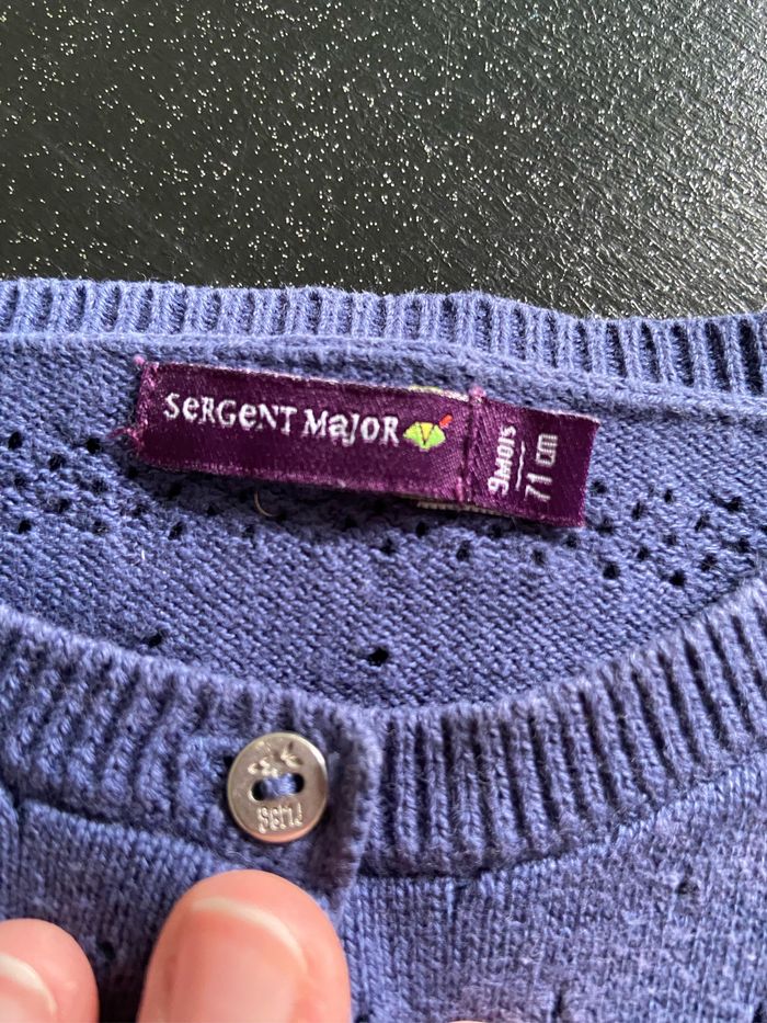 Gilet bleu - photo numéro 3