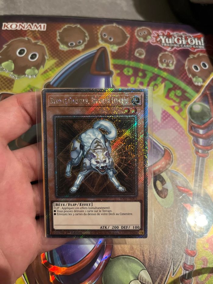 Ryko le chasseur , seigneur lumière - photo numéro 2