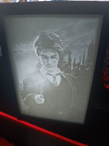 Lampe lithophane Harry Potter