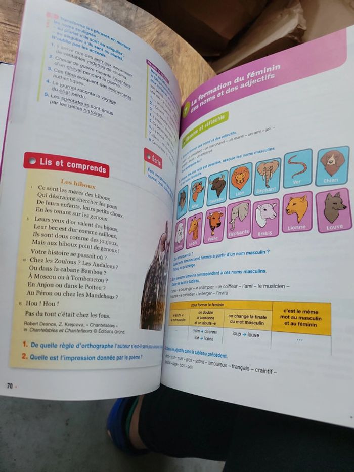 Livre scolaire révision cours idéal vacances de l'année - photo numéro 6