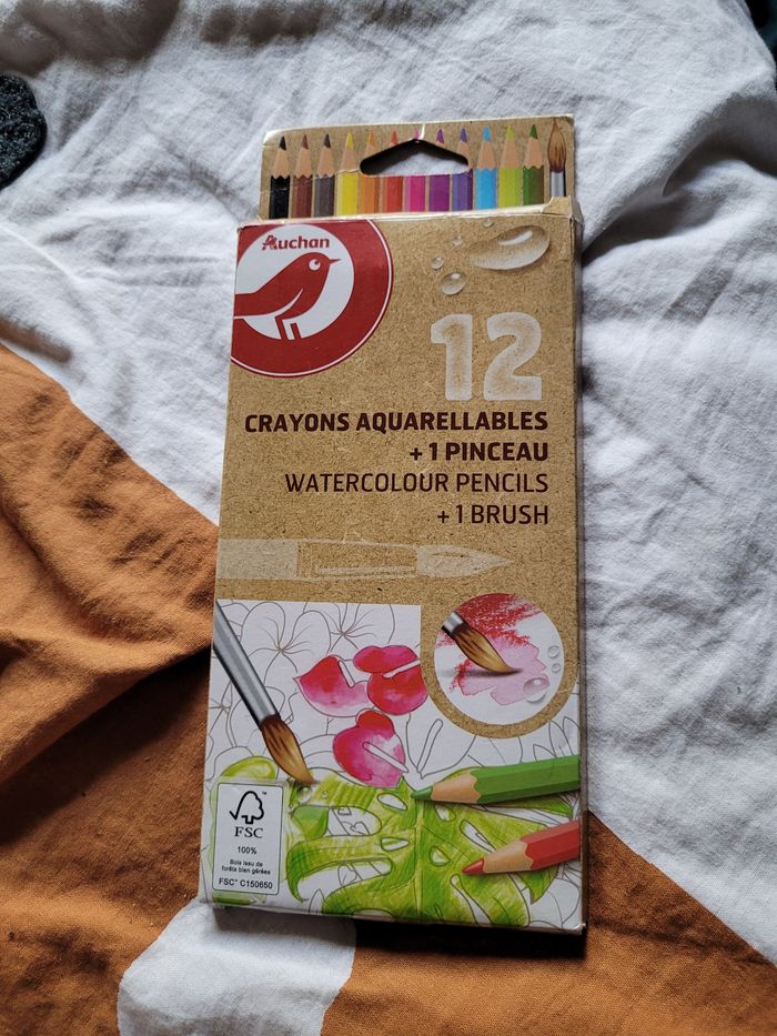 12 crayons aquarellables  + 1 pinceau Auchan