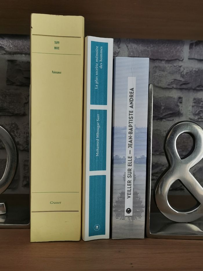 3 Romans Primés Goncourt et Renaudot :Veiller sur elle, La plus secrète mémoire des hommes, Naissance - photo numéro 3