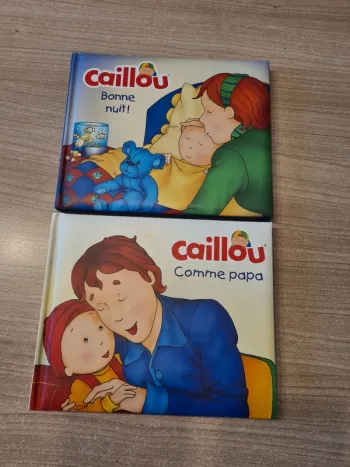 Lot livres caillou
