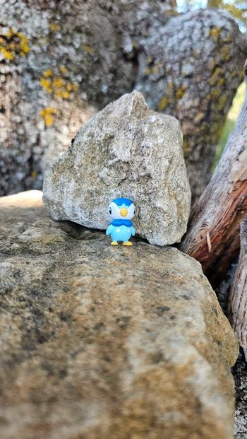 Super petite figurine Pokemon Nintendo tiplouf