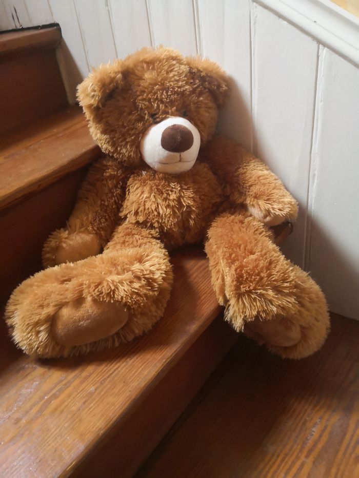 Ours en peluche - photo numéro 2
