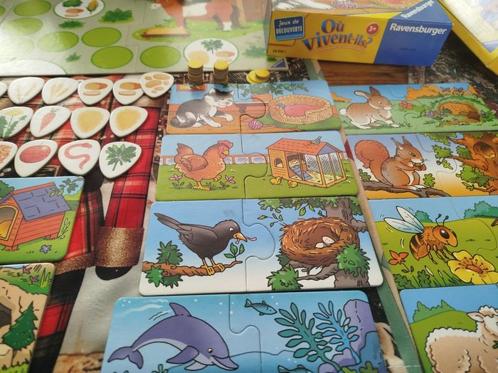 Lot de deux éducatifs - photo numéro 7