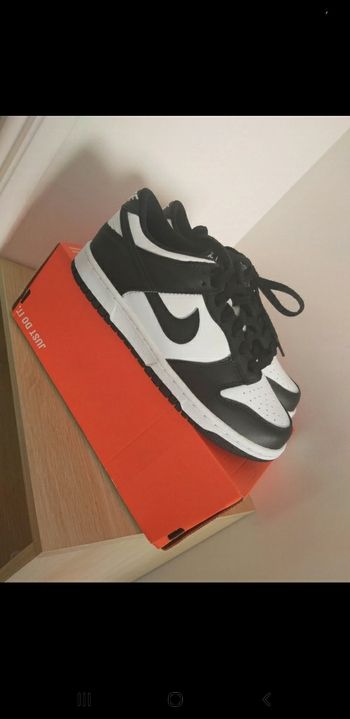 Basket Nike Dunk neuve