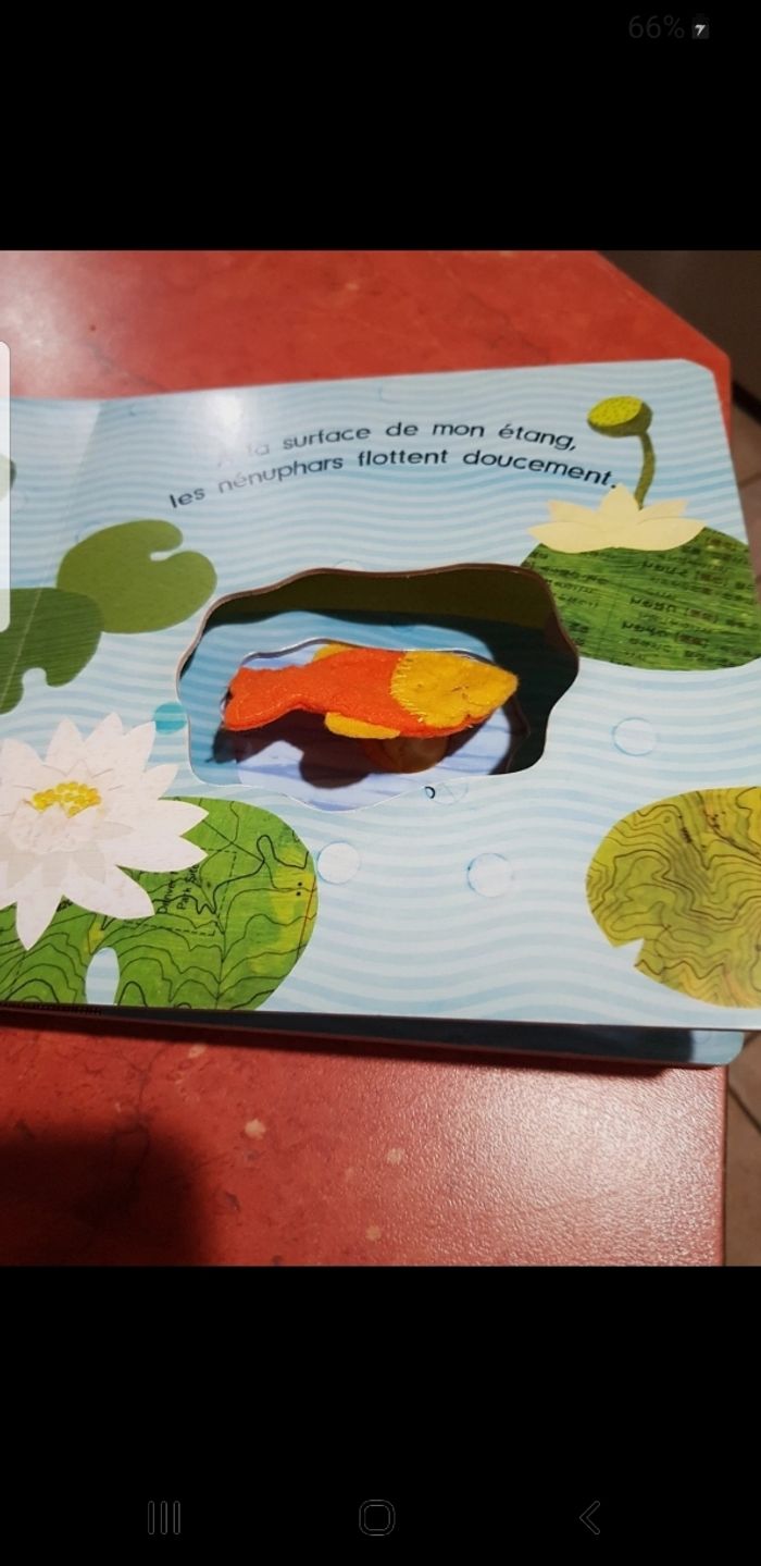 Dans mon étang - photo numéro 4