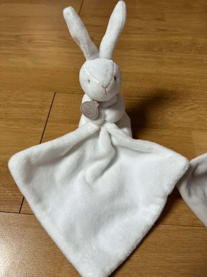 Lot de 2 doudous lapins - photo numéro 2