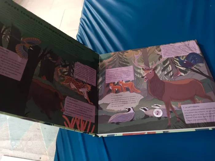 Livre enfant - photo numéro 2