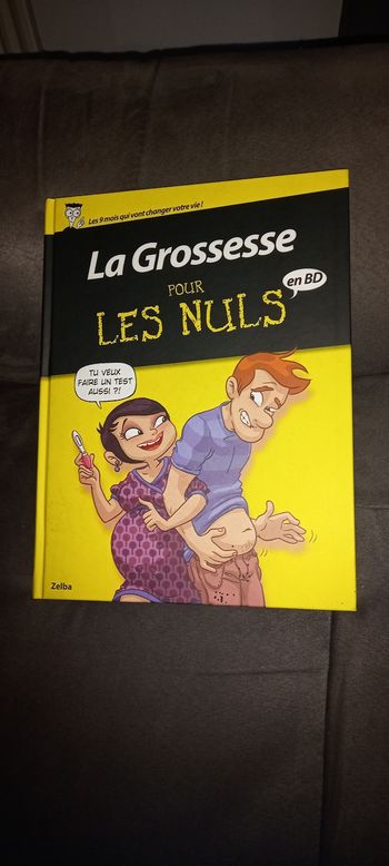 Livre la grossesse pour les nuls