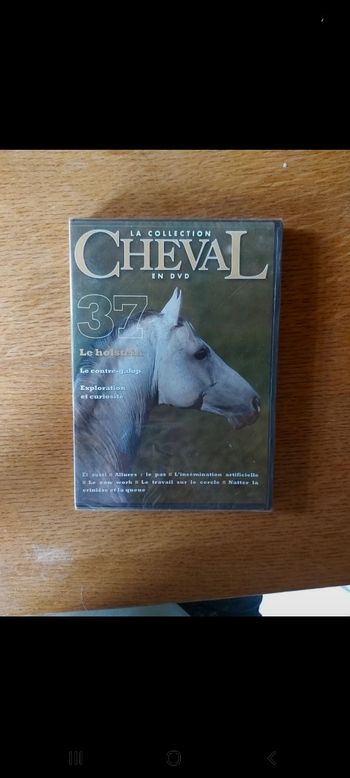 DVD