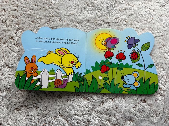 Livre Lasko le lapin - photo numéro 3