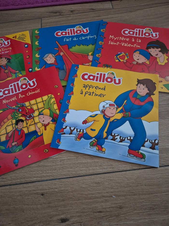 Lot 5 livres caillou - photo numéro 3