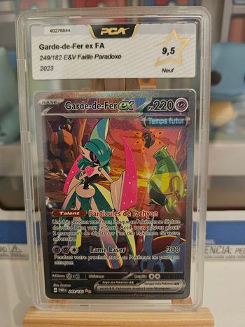 Garde de Fer 249 9.5