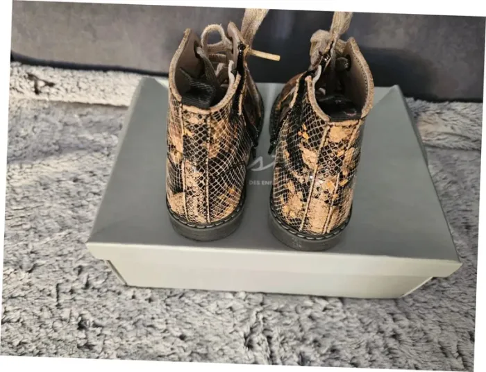 Bottilons Aster - photo numéro 5