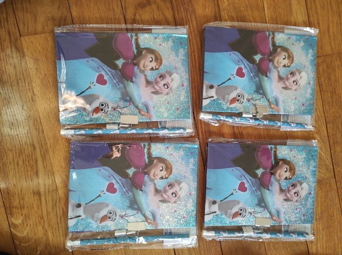 Lot de Journals intimes carnet secrets reine des neiges neuf