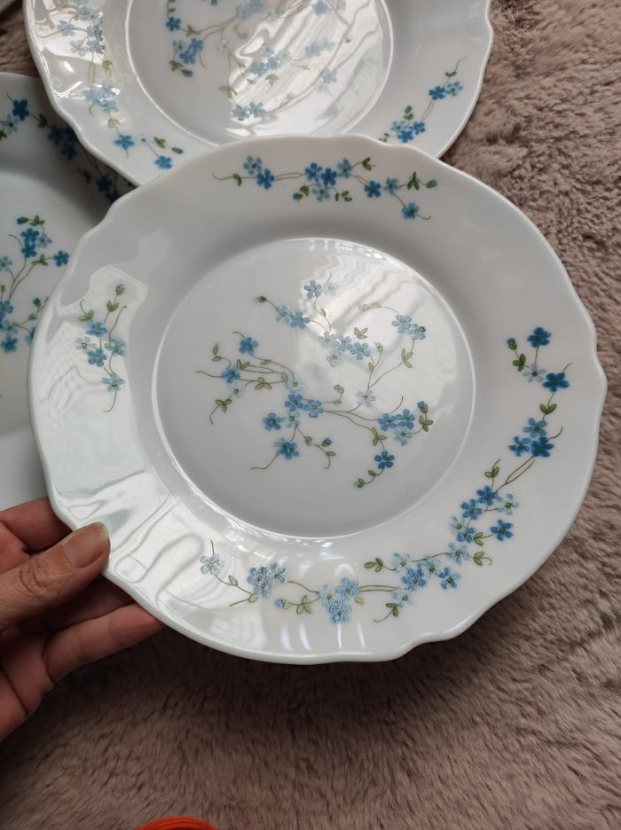 Assiettes plates arcopal - photo numéro 2