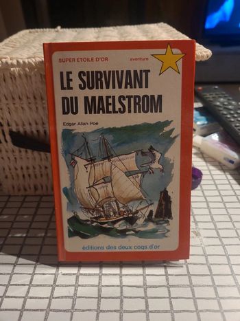 Le survivant du maelstrom